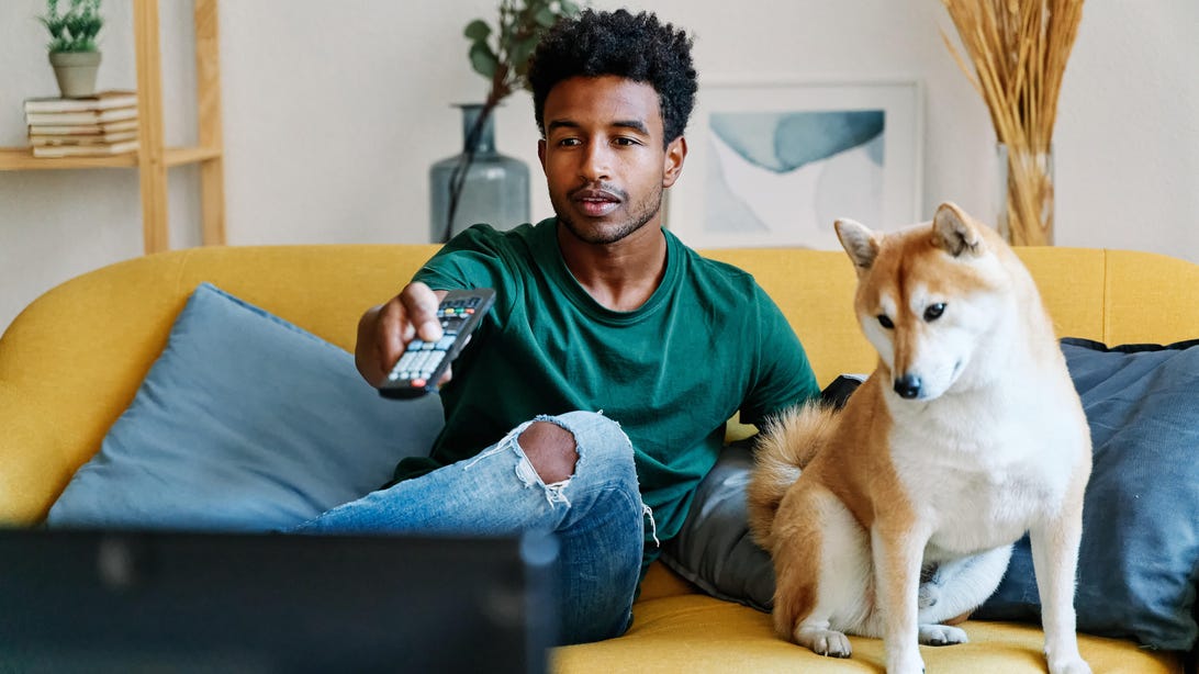 Man sitting on sofa in living room with dog watching TV changing channels with remote control.